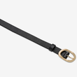 Nocturne Belt (Black/Gold)