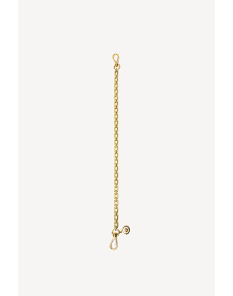 Feature Strap Chain (Gold Box)