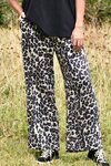 Haute To Trot Pant