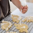 Dino Fossil Cookie and Craft Kit