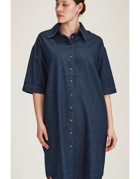 Alexa Denim Dress