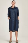 Alexa Denim Dress