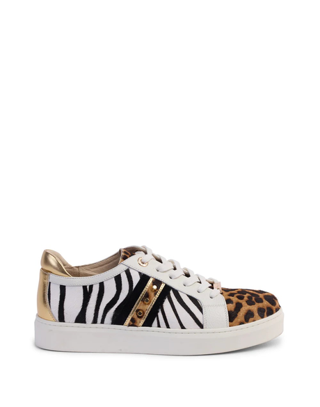 Caine Trainer