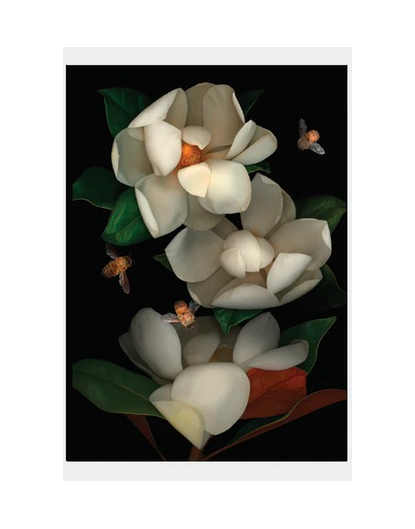 Magnolia And Bees