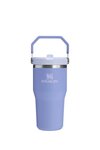 The Iceflow Flip Straw 2.0 Tumbler / 20 OZ 