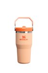 The Iceflow Flip Straw 2.0 Tumbler / 20 OZ 