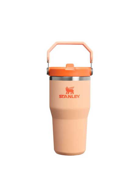 The Iceflow Flip Straw 2.0 Tumbler / 20 OZ 