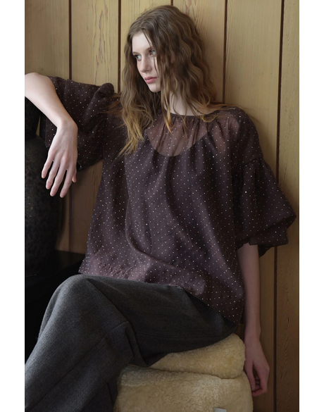 A Problem Sheer-ed Blouse