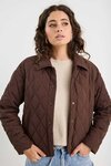 Absolute Collared Quilted Puffer Jacket