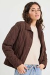 Absolute Collared Quilted Puffer Jacket