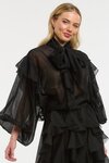 Ruffled Blouse