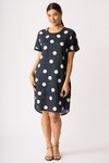 Back Pleat Dress