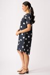 Back Pleat Dress