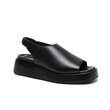 Zootie Shoe