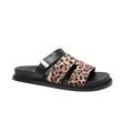 Indrani Shoe