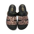Indrani Shoe