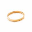 Luccia Bangle - Gold