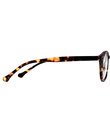 7am Reading Glasses (Brown Tort)