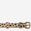 Never Never Belt (Cheetah)