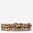 Never Never Belt (Cheetah)