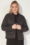 Vega Jacket