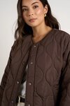 Apex Chocolate Collarless Puffer Jacket