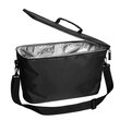 Large Hinza Cooler Bag Insert